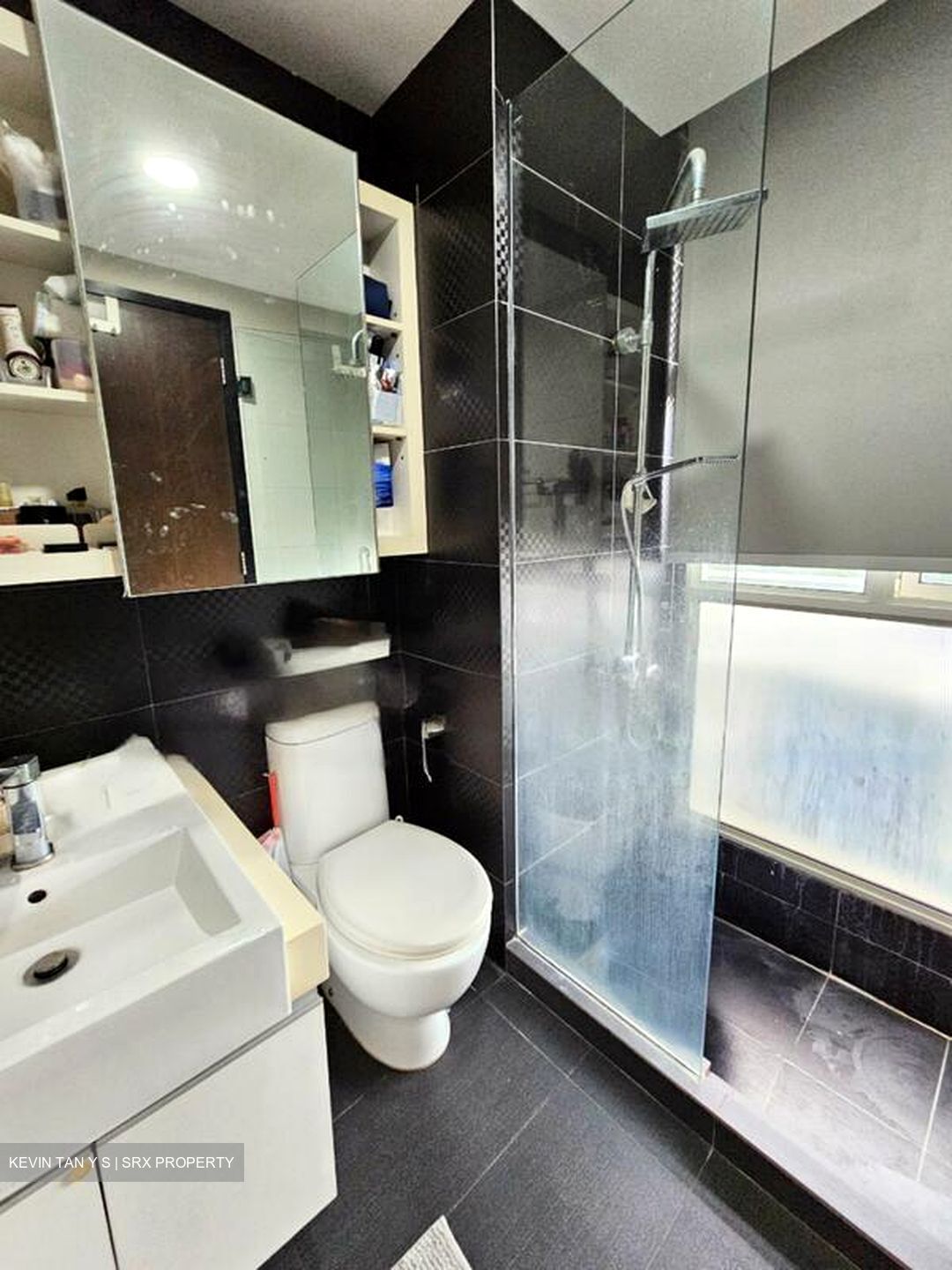 Haig 162 (D15), Apartment #560860521